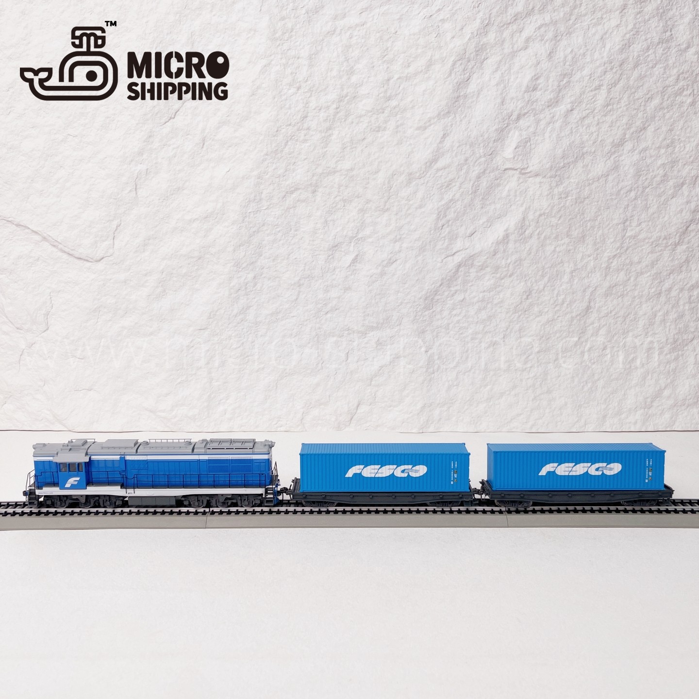 FESCO Train Model is equipped with two rails and two container alloy locomotives