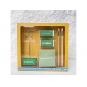 EVERGREEN  Staionery Set With Paper Clip With Pencil Sharpener, Pencils, Easers And Memo Cube