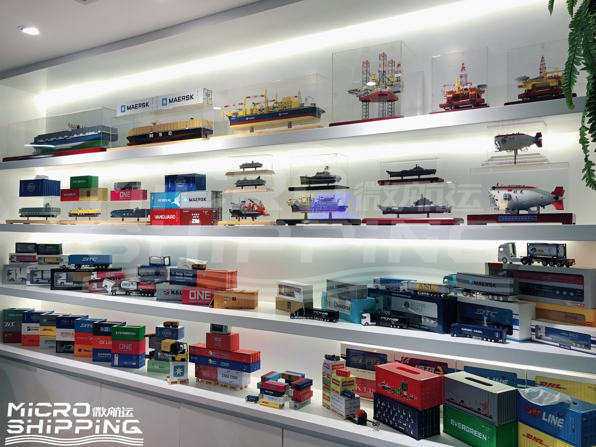 Micro Shipping models for you(图1)